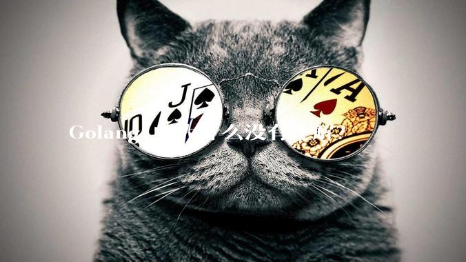 Golang 中为什么没有注解？